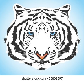 White tiger portrait - high quality vector blue eyed wild cat with pink nose and white fur