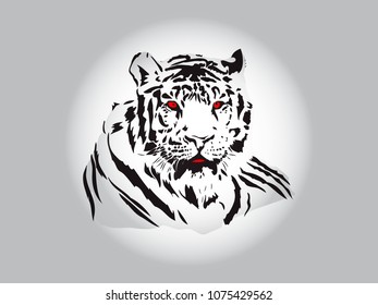White tiger with red eyes
