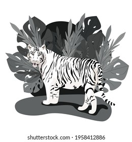 White tiger standing among lush palm leaves, wild carnivores, black and white, vector illustration in flat style.