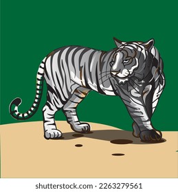 tigre blanco parado en la colina mirando a la izquierda

