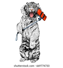 white tiger standing on hind legs with open mouth and makes a selfie sketch vector graphics color picture