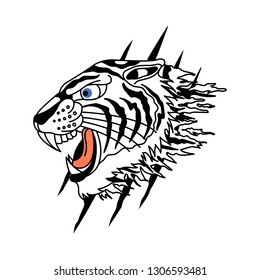 white tiger vector