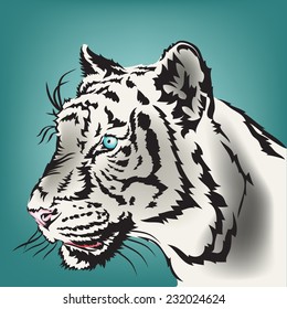 White tiger vector.