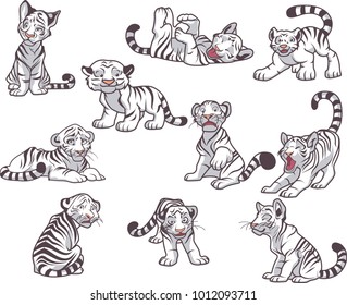 The white tiger vector collection is very funny