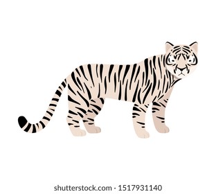 White tiger. Vector illustration on a white background.