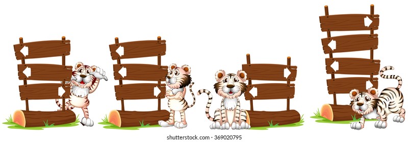 White tigers by the wooden sign illustration