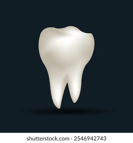 White tooth. 3d illustration of a tooth on a dark background