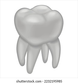 white tooth healthy tooth beautiful tooth. Icons 3d realistic render vector object. dental, care, tooth, health, white, hygiene, dentist, molar, enamel, shiny
