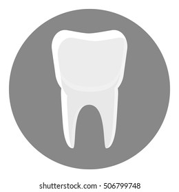 White tooth icon. Gray monochrome illustration of white tooth vector icon for web