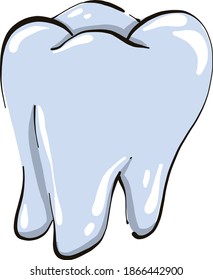 White tooth, illustration, vector on white background.