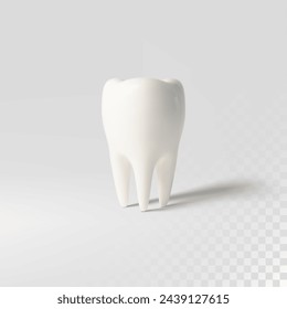 White tooth implant implant cut, healthy tooth or dental surgery.