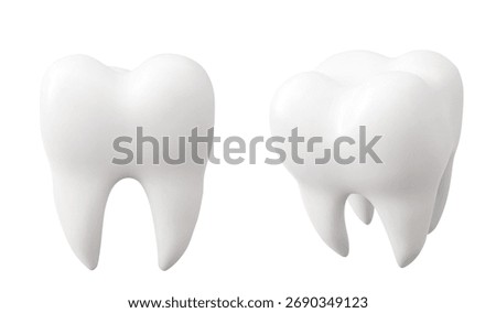 White tooth realistic 3d models with smooth enamel surface and anatomical roots for dental presentations. Clean molar with natural crown shape for medical education or orthodontic materials.