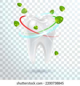 white tooth with refreshing mint leaves on transparent background