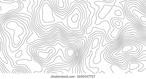 branco linhas topográficas fundo contorno linhas papel de parede