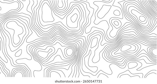 Fondo de pantalla de líneas de contorno de fondo de líneas topográficas blancas