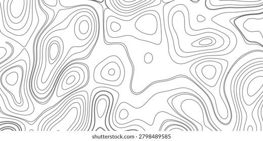 White topography topology vector white background,Modern design with White background with topographic wavy pattern design.Luxury black abstract line art,