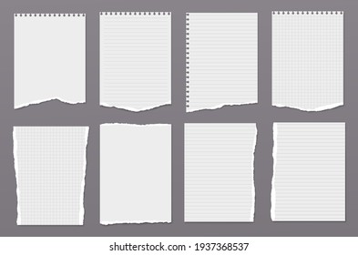 White torn, lined and blank note, notebook paper are on dark grey background for text, advertising or design. Vector illustration
