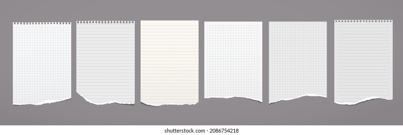 Weißes, gerissenes und gezacktes Notizbuch auf dunkelgrauem Hintergrund für Text, Werbung oder Design. Vektorgrafik
