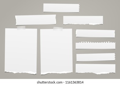 White torn note, notebook paper pieces with torn edges stuck on gray backgroud. Vector illustration.