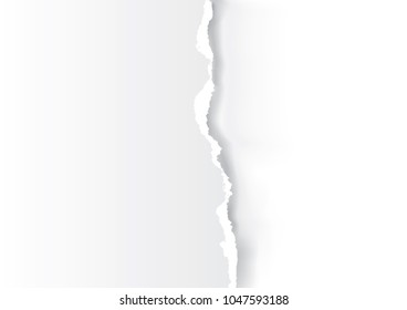 White torn paper background. Ilustration of white paper backround with place for your text or image.Vector available.