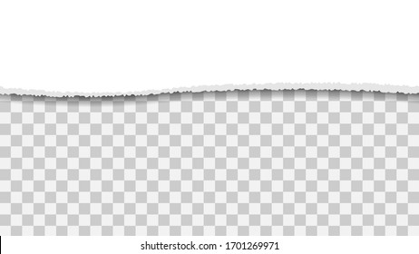 White Torn Paper Cut Ripped Template Background