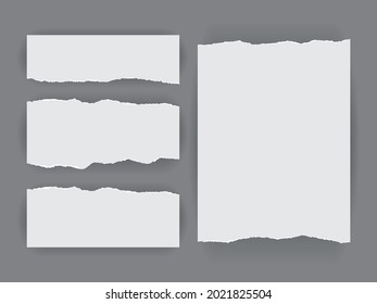 white torn paper isolated on dark background mock up vector