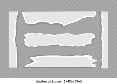 white torn paper on gray background. collection paper rip.