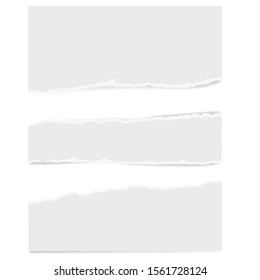 White torn paper page. torn paper on white background vector
