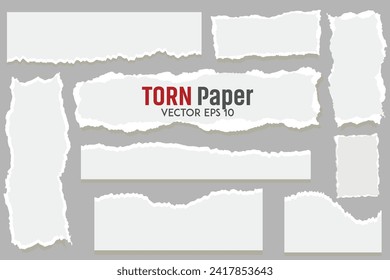 White torn paper rip pieces of sheet edge, note scrap or notebook pages, vector backgrounds. Notepad torn paper for message note, page or banner and cardboard blank ripped piece strips