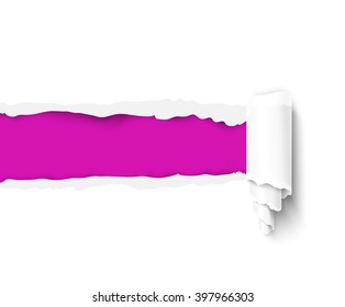 White torn paper with a paper roll over pink background with space for text. Realistic vector damaged paper with ripped edges. Torn paper banner for web and print