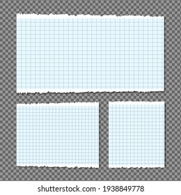 White torn stripes, Paper different scraps set, notepad, notes for text or message stuck