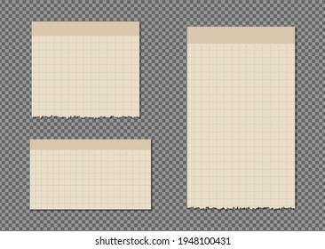 White torn stripes, Paper different scraps set, notepad, notes for text or message stuck