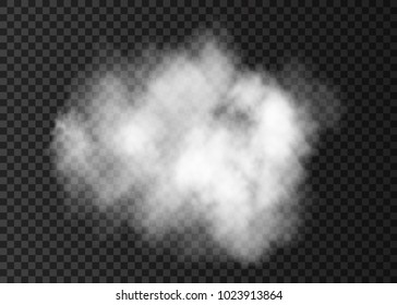Weiße, transparente Rauchwolke.  Dampfexplosion Spezialeffekt.  Realistischer Vektorgrafik   Feuernebel oder Nebelgewebe .