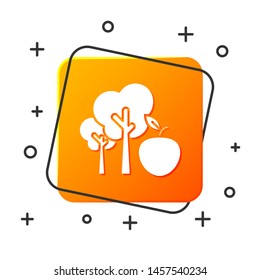 White Tree with apple icon isolated on white background. Agricultural plant. Organic farm product. Gardening theme. Orange square button. Vector Illustration