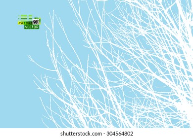 white tree branch. Vector