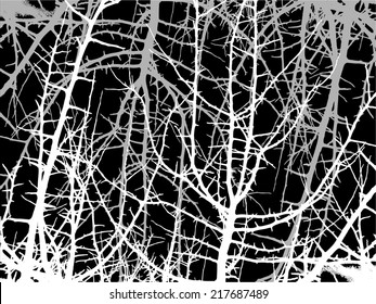 White tree branches on a black background. Vector