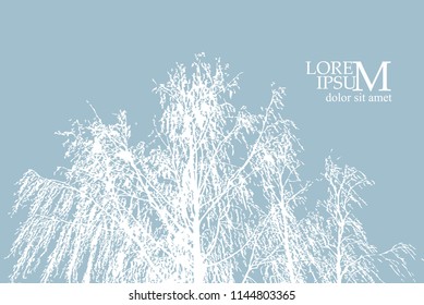 White tree branches on a blue background