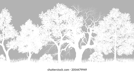 White tree forest background and snowing for winter season concept. Hand drawn isolated illustrations.