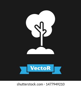White Tree in the ground icon isolated on black background. Forest symbol.  Vector Illustration