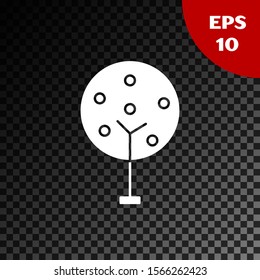 White Tree icon isolated on transparent dark background. Forest symbol.  Vector Illustration