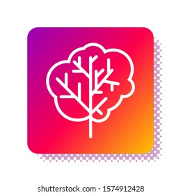 White Tree icon isolated on white background. Forest symbol. Square color button. Vector Illustration