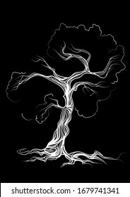 árbol blanco aislado en un fondo negro