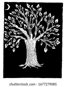 Árbol blanco con hojas en una noche oscura.