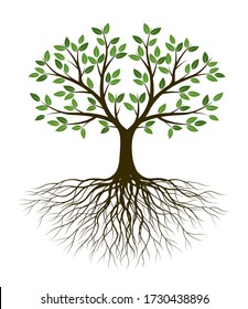 White Tree of Life on green background. Silhouette shape with Leaves and Roots. Vector outline Illustration. Plant in Garden. Royalty free vector object.