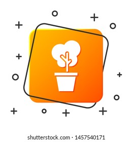White Tree in pot icon isolated on white background. Houseplant in pots. Natural decor for home and interior. Potted plant sign. Orange square button. Vector Illustration