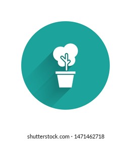 White Tree in pot icon isolated with long shadow. Houseplant in pots. Natural decor for home and interior. Potted plant sign. Green circle button. Vector Illustration
