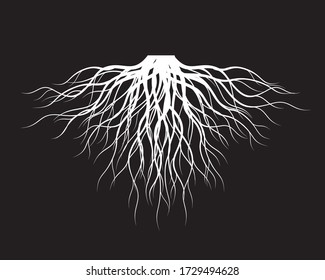 Raíces de Árboles Blancos. Ilustración del contorno del vector. Planta y jardín.