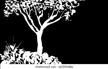 White  tree silhouette isolated on black background. Sumi-e, u-sin, gohua painting style. Stylized Inked drawing. Hand drawn vector illustration. 