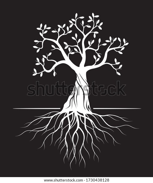 Silhouette Arbre Blanc Avec Feuilles Sur Image Vectorielle De Stock Libre De Droits