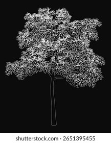 A white tree stands prominently against a stark black background, creating a striking contrast. The minimalist composition highlights the tree's intricate branches and elegant silhouette.